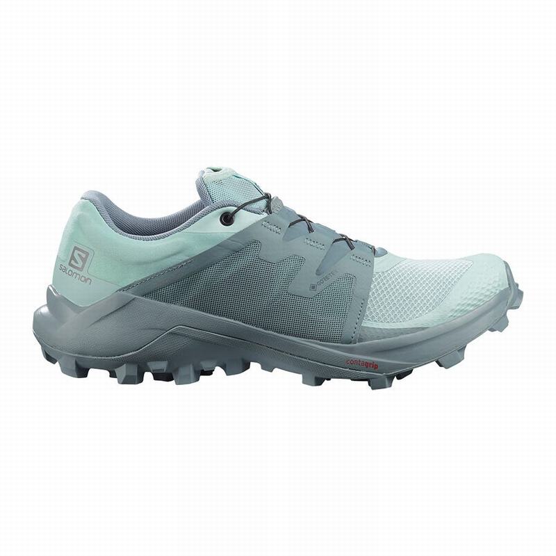 Salomon Singapore Womens Trail Running Shoes - WILDCROSS GTX Turquoise/Turquoise | 43169-XIVA